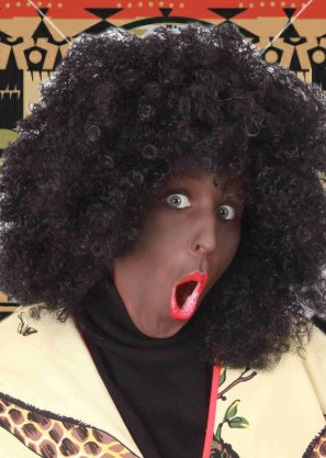 Carnaval- & feest accessoires: Afro pruik