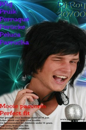 Carnaval- & feest accessoires: Fashion Pruik heren D.J. Roy