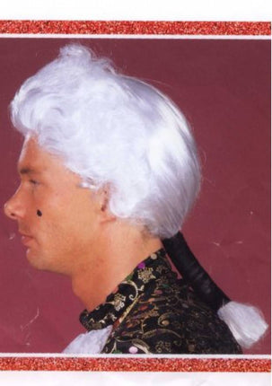 Carnaval- & feest accessoires: Pruik Mozart klassiek