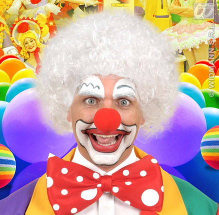 feestaccessoires: Clownspruik