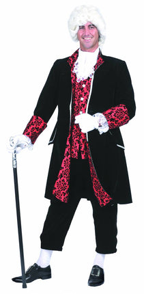 feestaccessoires: Pruik Constant