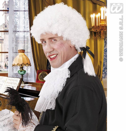 Feestaccessoires: Pruik Mozart