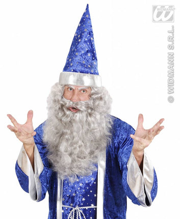 Grijze tovenaarspruik met baard