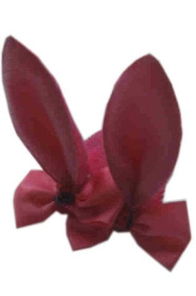 Haarclip met Bunnyoortjes