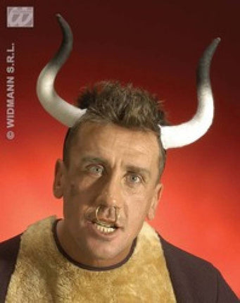 Party-accessoires: Stieren-hoorn