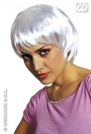 Party-kleding; Pruik, new age (in plastic doos)