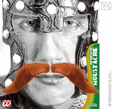 Vermommingen: Snor rood, viking