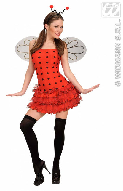 Vrijgezellenkostuum: Sexy Lieveheerbeestje