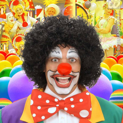 feestaccessoires: Clownspruik