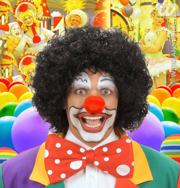 feestaccessoires: Clownspruik