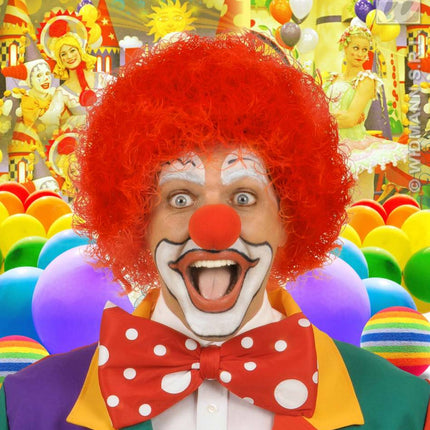 feestaccessoires: Clownspruik