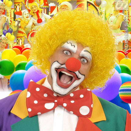 feestaccessoires: Clownspruik