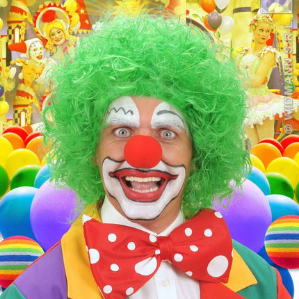 feestaccessoires: Clownspruik