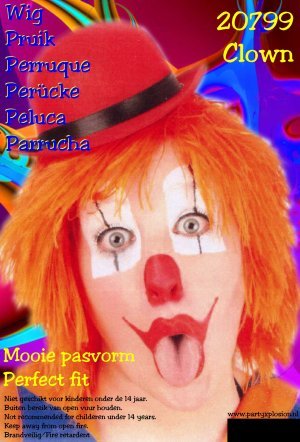 feestaccessoires: Kleurige clownspruiken