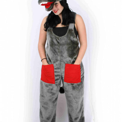 Feestkleding: Lollige ezel