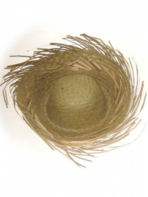 Party- & Feest-accessoires: Strohoed rafel naturel