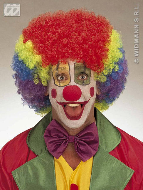 Party-kleding: Pruik, Jimmy meerkleurig