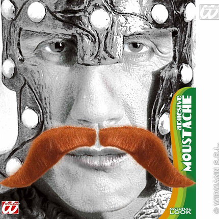 Vermommingen: Snor rood, viking
